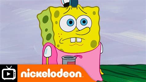 wcostream spongebob|wcostream spongebob you're fired.